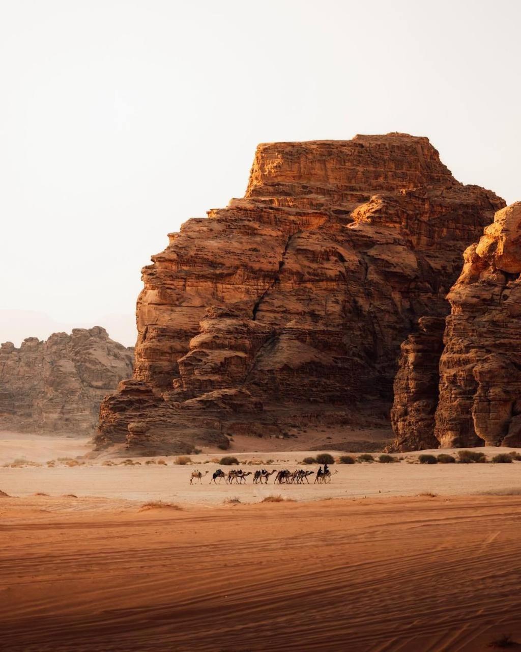 Luxuszelt Yellow Star Camp Wadi 5*