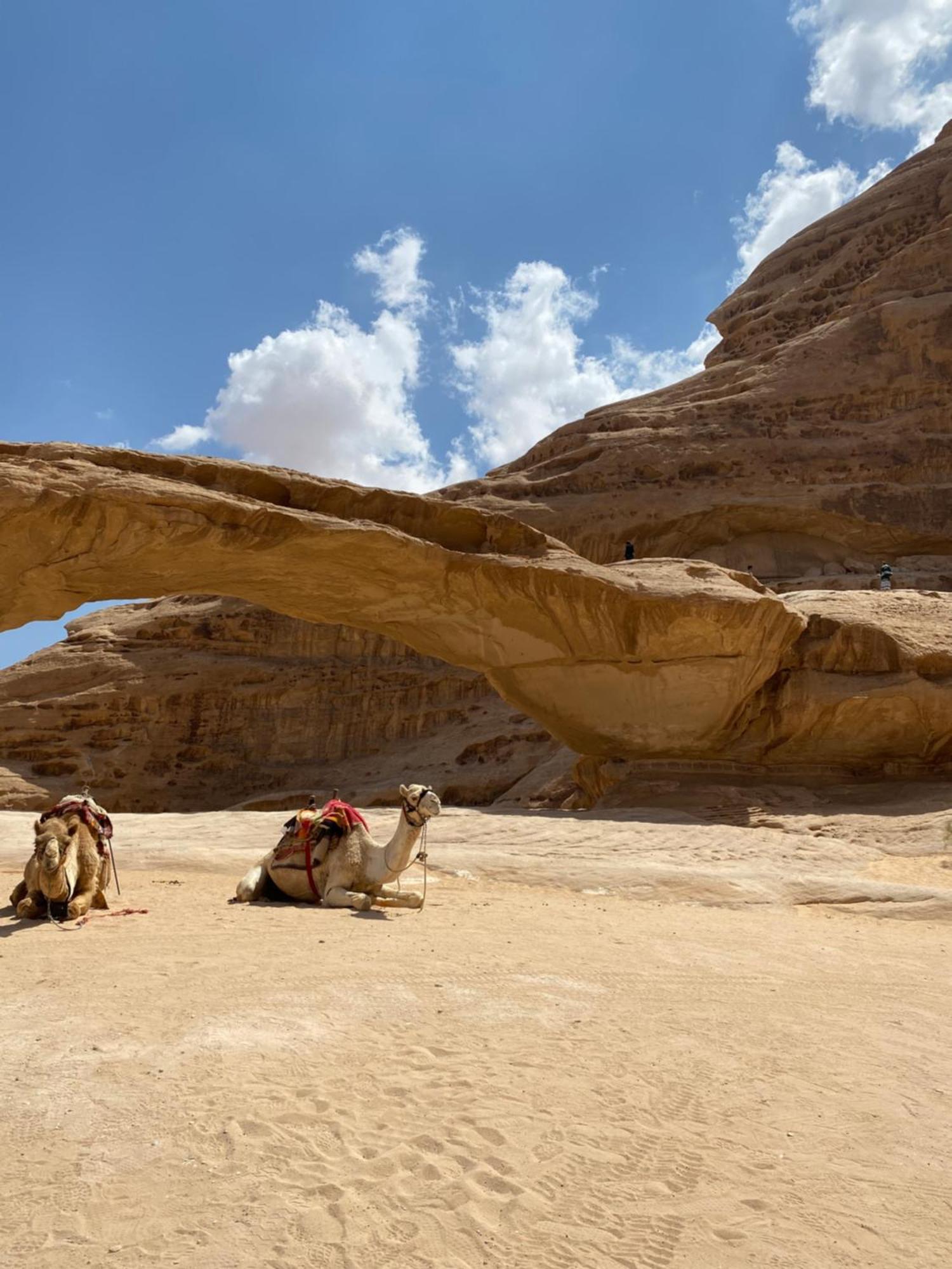 Yellow Star Camp Wadi